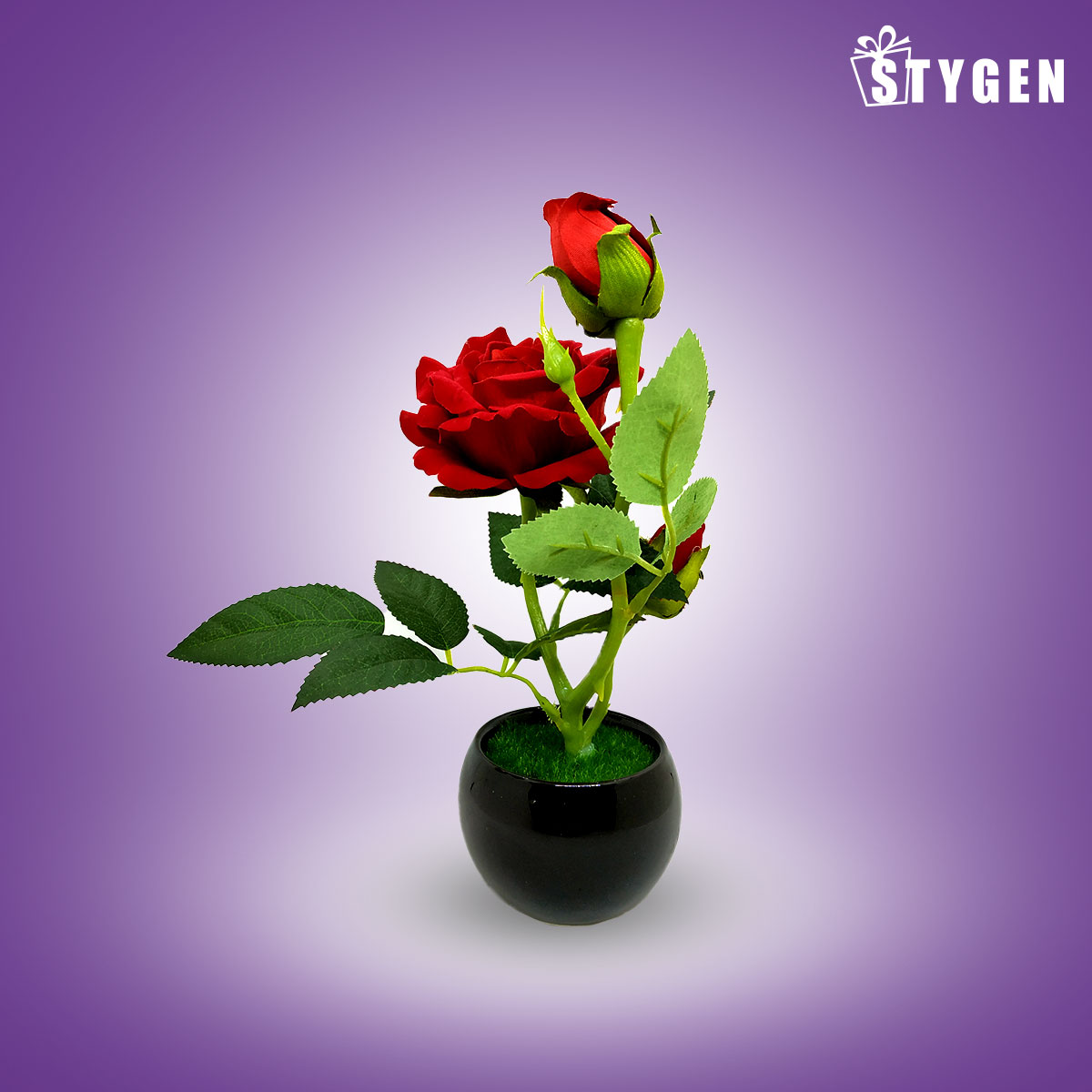Artificial Velvet Rose with Black Color Ceramic Pot